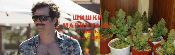 тгк Михайлов