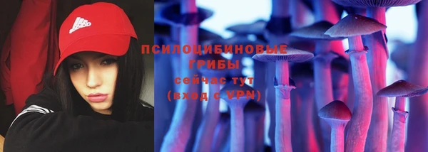 молекула духа Михайловка