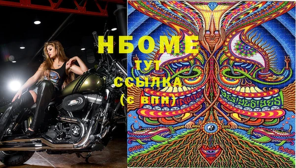 тгк Михайлов