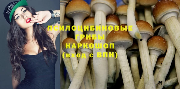 тгк Михайлов