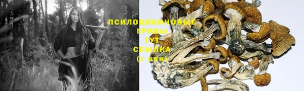 тгк Михайлов