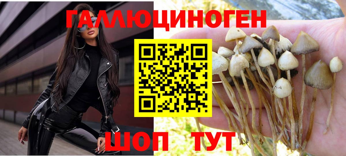 Галлюциногенные грибы Psilocybine cubensis Новотроицк