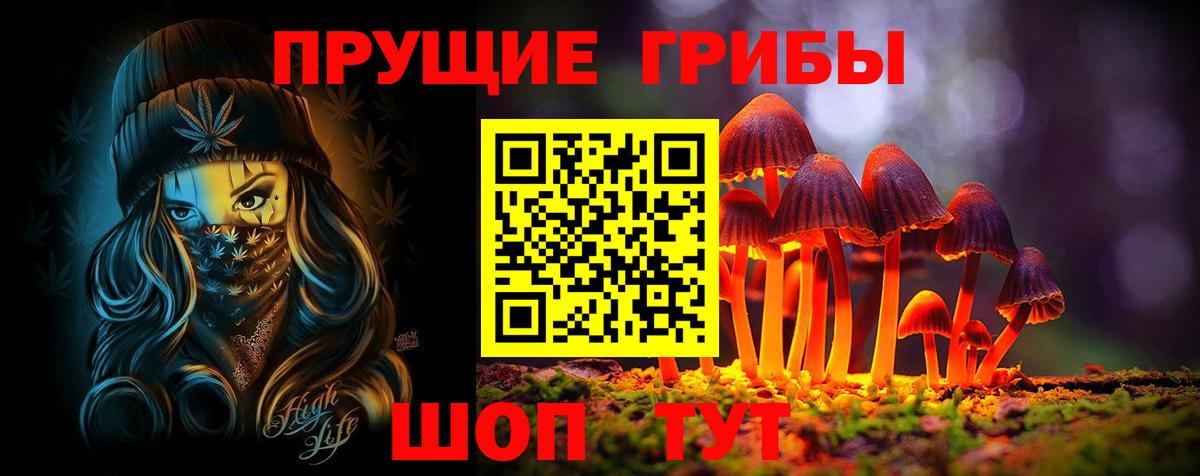 Новотроицк  Псилоцибиновые грибы мухоморы  закладка  Псилоцибиновые грибы GOLDEN TEACHER  Вход с VPN 